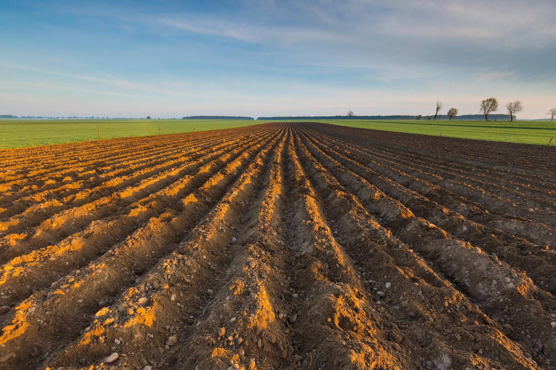 “Aider les systèmes de production des pays en développement pour la sécurité alimentaire”