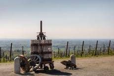 Oltrepòwer: una doppia sessione dedicata agli operatori in Terra di Pinot
