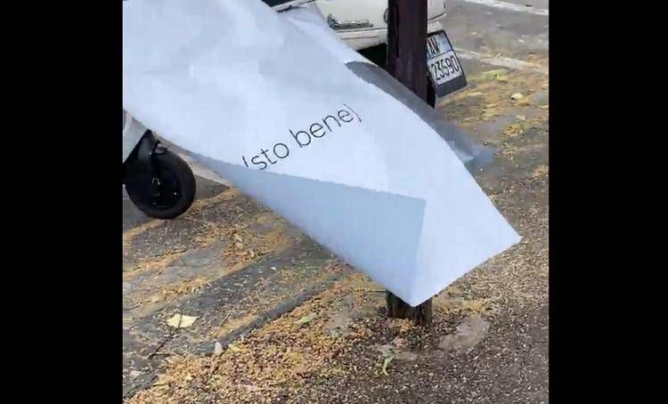 alternate text