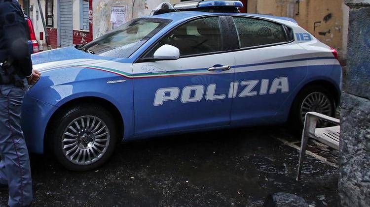 Volante della polizia, repertorio (Fotogramma)