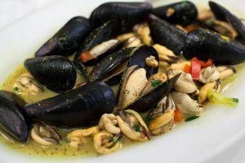 cozze storyblockss