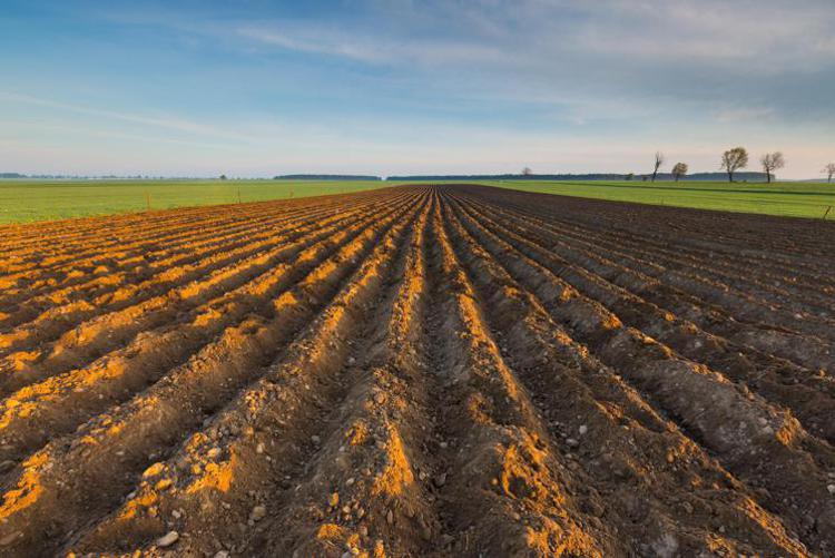 Agricoltura, cambiamenti climatici e uso del suolo: da Fondazione Cariplo nuovo bando