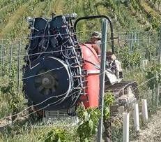 Progetto “Noviagri”, la ricerca scientifica per il controllo delle malattie in vigneto