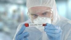 Impennata del colera nel 2024, Oms:
