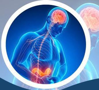 Dall’intestino al cervello, focus esperti sui segreti del microbiota