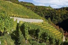 Foto crediti Kellerei Eisacktal - Cantina Valle Isarco<br>