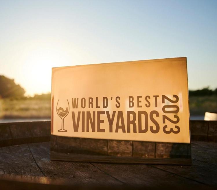 World’s Best Vineyards 2023: Ceretto nella Top50 e Antinori nella Hall of Fame