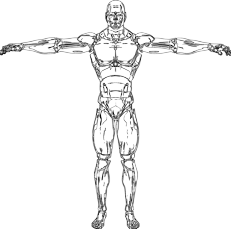 Foto di intographics da Pixabay