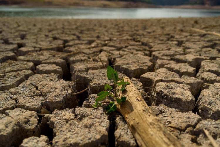 Caldo record, la settimana più rovente nella storia del pianeta