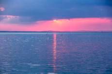 Grenaches du Monde: sette medaglie per i vini del Consorzio Trasimeno