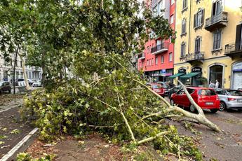 Allarme eco-ansia, lo psichiatra: “Avremo ancora meno nascite, agire ora”