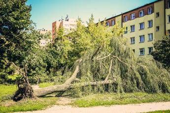 Climate, disastrous events risk becoming normality