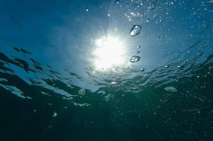 Oceani caldi con temperature record, lo studio