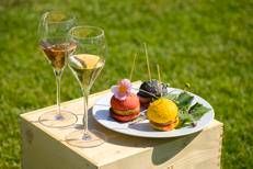 Festival Franciacorta in Cantina 2023