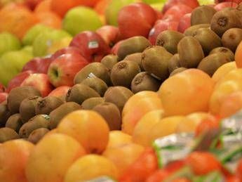 Food waste, handbook for organizing the refrigerator