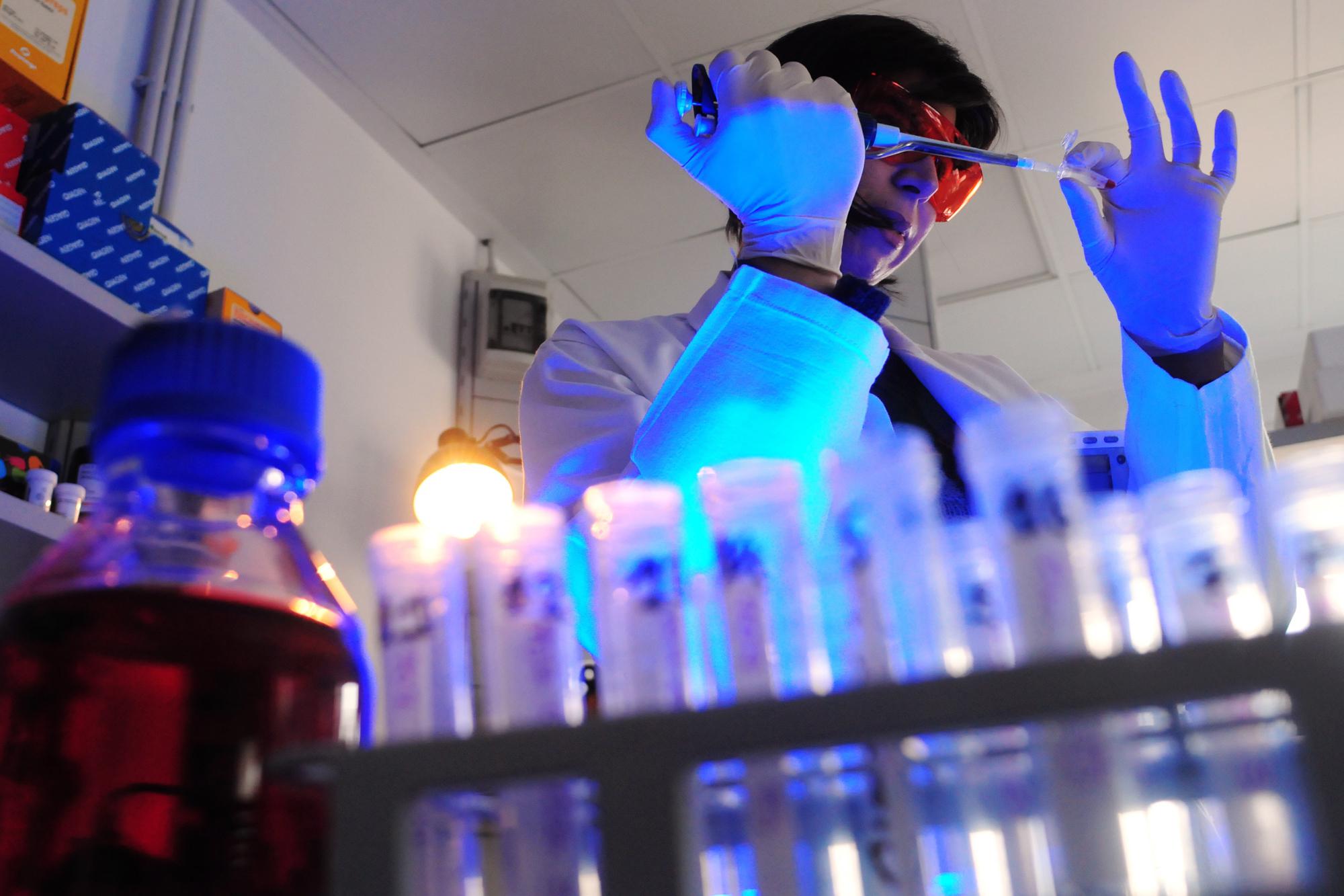 Storia genetica di un superbatterio killer, così l'Acinetobacter baumannii è diventato invulnerabile