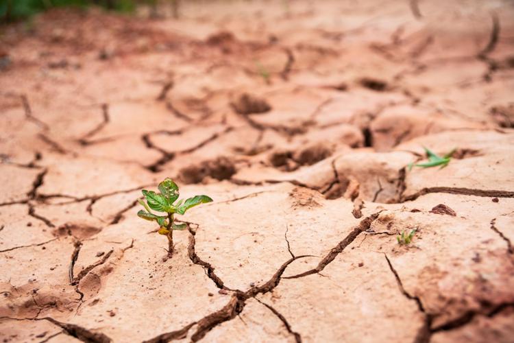 Clima, appello Mattarella e altri 5 capi di Stato: “Non c’è più tempo da perdere”
