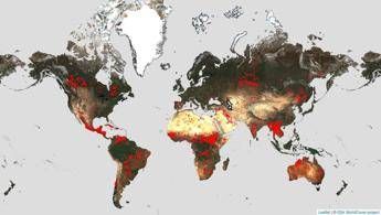 ESA riapre il World Fire Atlas per monitorare onli &hellip;