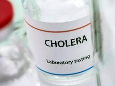https://www.adnkronos.com/resources/0284-18a7eb8e807b-3f18e22716de-1000/format/medium/colera_test_123rf.jpeg