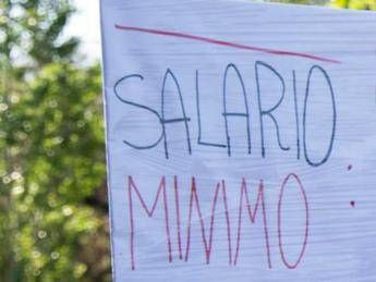 Minimum wage, “already 100,000 signatures for the petition”