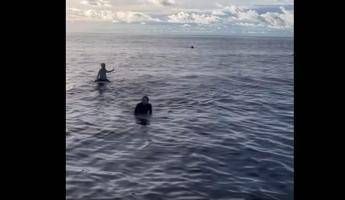 Surfers missing after storm, found alive after 38 hours on board – Video
