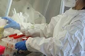 Research, Iit Milano: edible circuits created from crab shells