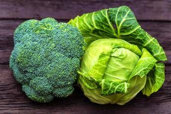 ‘Cabbage super powers’, from eco-shampoo to lung-saving filter