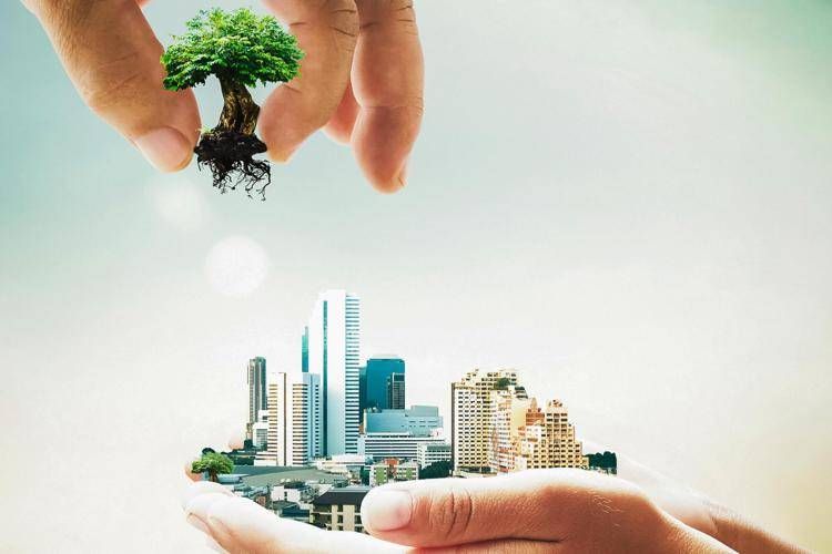 Albero sulle abitazioni - Canva