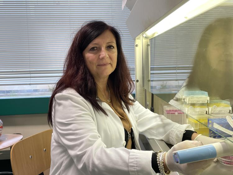 Tumori, glioblastoma: dall'aloe un aiuto contro la resistenza alla chemioterapia