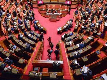 U-turn Brothers of Italy, via amendment on convicts.  Conte attacks