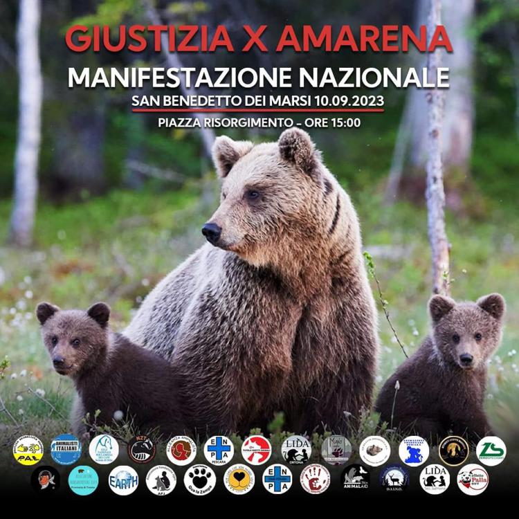 Orsa Amarena, domani la manifestazione degli animalisti: 