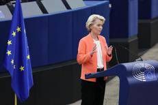 https://www.adnkronos.com/resources/0285-18f7d077a529-750a74a5eaeb-1000/format/medium/von_derleyen_afp.jpeg
