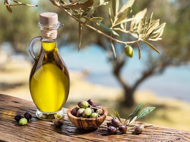 Olio, Sicolo (Italia Olivicola):