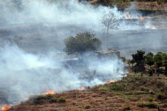 Fires in Sicily, woman dead in Cefalù: she had gone to free some horses