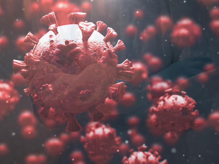 Covid, immagine del virus (Foto )