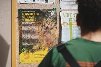‘Biodiversity in flight’, discovering the deer census