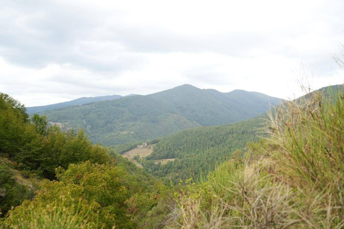 'Biodiversità in volo' di Fondazione Una presso le foreste Casentinesi