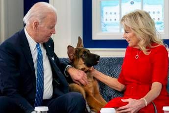 White House, Joe Biden’s dog bit an agent (again).