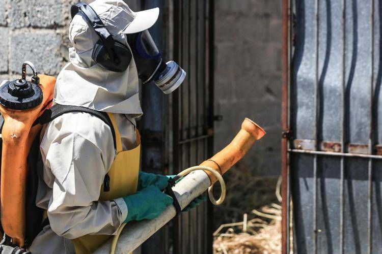 Disinfestazione contro la Dengue - Fotogramma