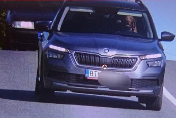 Cane al volante 'sorride' all'autovelox: la foto  - (Dalla pagina Facebook 'Policia Slovenskej Republiky') 