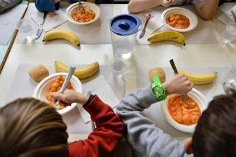 Alimentazione: Schillaci, ‘educazione nelle scuole e investire in prevenzione’
