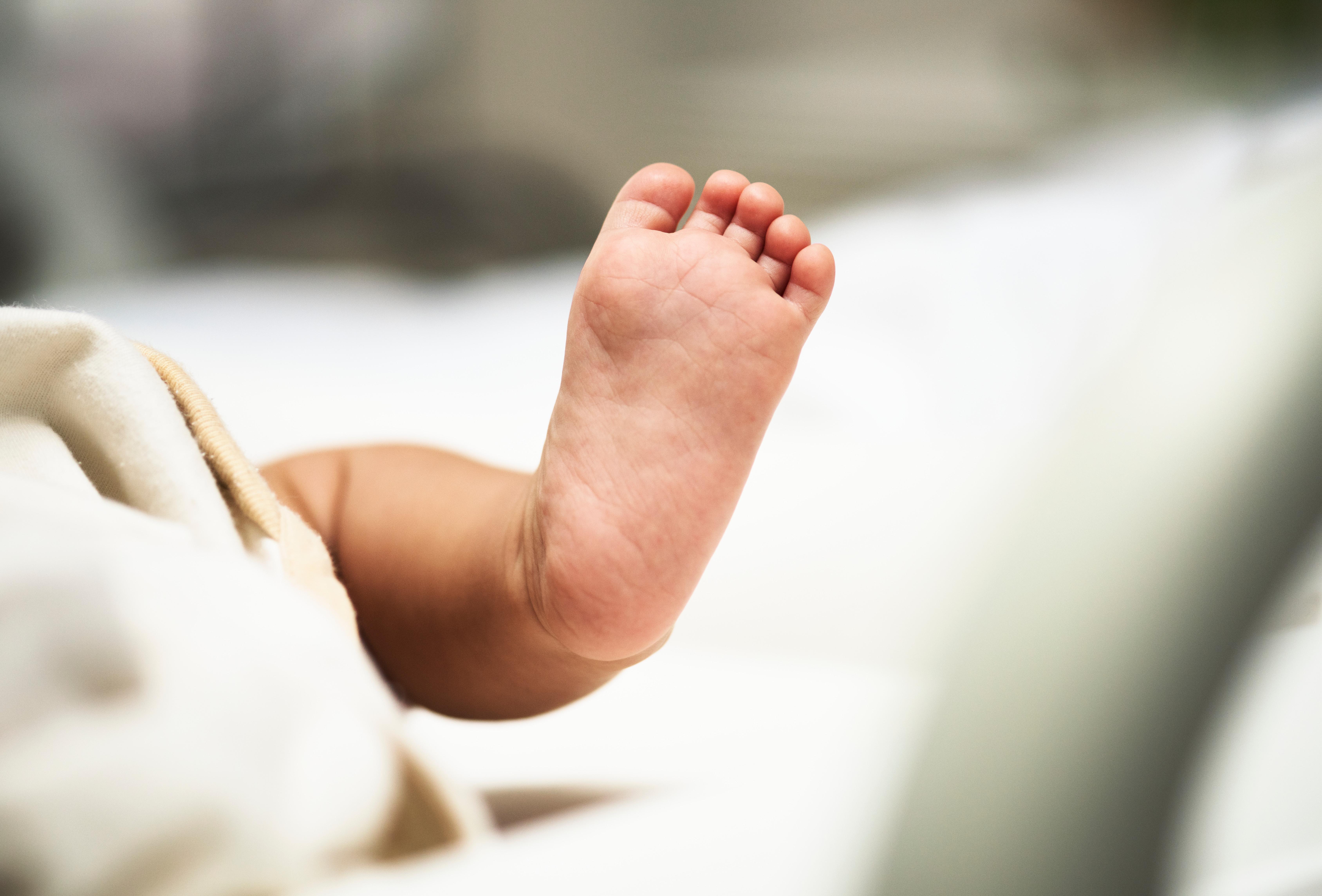 Neonato Abbandonato in condominio a Milano: accanto al bebè un biglietto