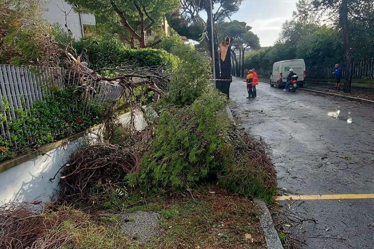 Maltempo, è allerta meteo in Toscana: tromba d'aria nel livornese
