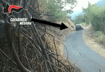 Framed by the video traps of the firefighting volunteers