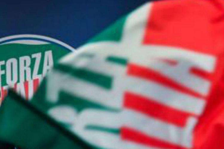 Bandiere Forza Italia - (Afp)