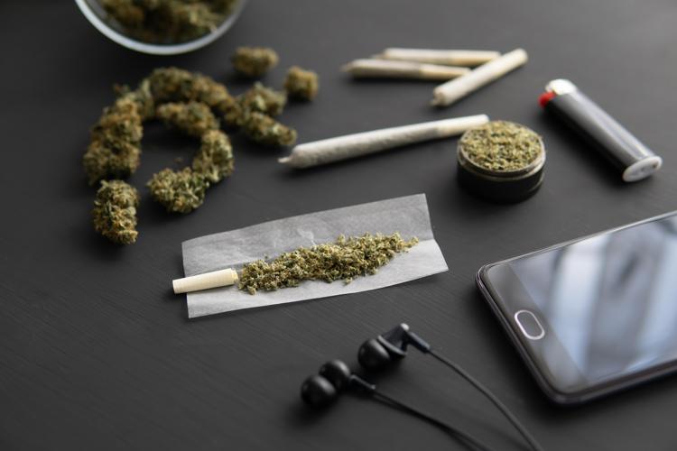 Cannabis - 