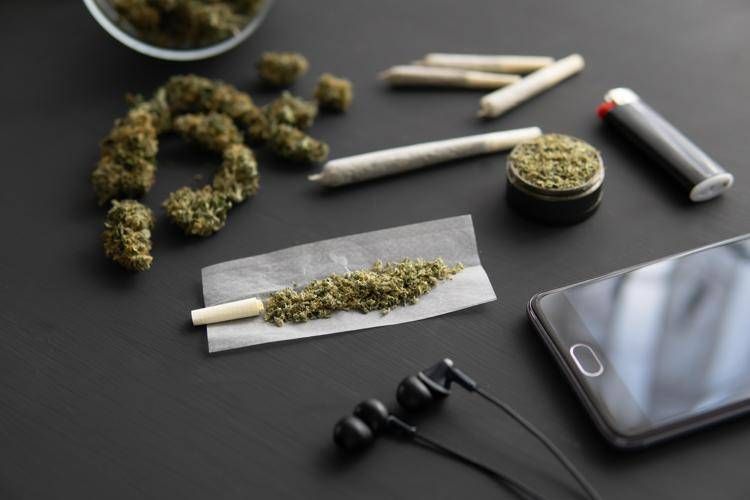 Cannabis -