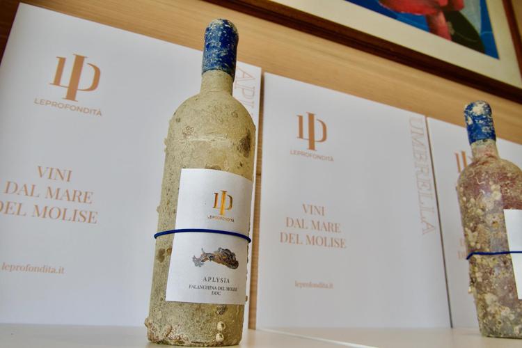 Svelati i primi 4 vini subacquei prodotti in Molise da 'LeProfondità