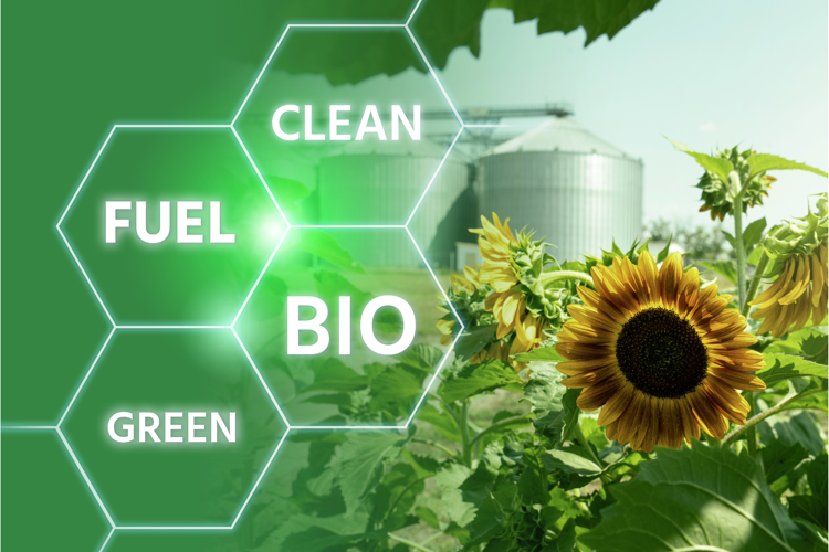 Sostenibilità: biocarburanti, join venture tra Eni e Bonifiche Ferraresi