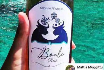 Sardinian winery wins over Red Bull: “David won over Goliath”